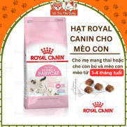 Royal Canin mother & Babycat grain food for kitten, cat pregnant mother