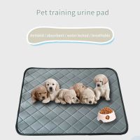 【CC】 Washable Dog Diaper Urine Reusable Training Car Cover Absorbent for Dogs Supplies