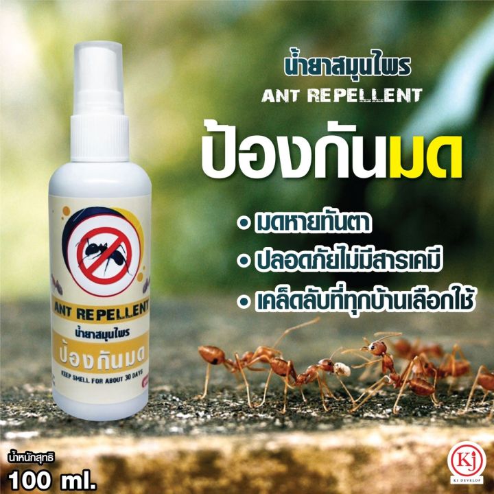 ไล่มด ไล่แมลงสาบ ไล่แมลง เห็นผลชัดเจน ปลอดภัย ทำจากธรรมชาติ 100% (ขนาดพกพา  100Ml.) | Lazada.Co.Th