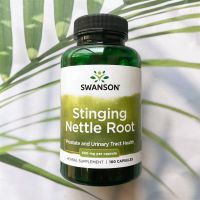 (Swanson®) Stinging Nettle Root 500 mg 100 Capsules สารสกัดจากรากตำแย