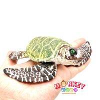 Monkey Toys - โมเดลสัตว​์ Turtle เต่า ทะเล เขียวลาย ขนาด 12.00 CM (จากหาดใหญ่)