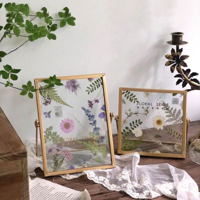 Dried Flower Glass Metal Photo Frame Creative Retro DIY Plant Specimen Picture Frame Home Iron Decorative Eternal Flower Frames