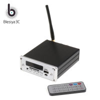 Blesiya บลูทูธไฮไฟดิจิทัลเครื่องขยายเสียงสเตอริโอเครื่องเล่นเพลงรองรับ USB/การ์ด