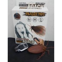 Giant Roach Radio Control แมลงสาบยักษ์ บังคับด้วยวิทยุ รีโมท เคลื่อนที่ได้เหมือนจริง บังคับเลี้ยวซ้ายขวา มีเสียง พร้อมปี