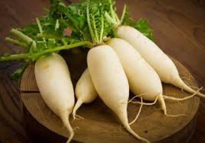 หัวไชเท้าราเมนาส-หัวไชเท้า-หัวไชเท้าจิ๋ว-หัวไชเท้า-daikon-เมล็ดผักราคาถูกที่สุดหัวไชเท้า-หัวยาวใหญ่-60-70เมล็ด10บาท-ปลูกง่า