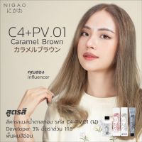 (C4+PV.01) ครีมเปลี่ยนสีผมนิกาโอะ(Nigao) ปริมาณ 100 ml /  เม็ดสีแน่น / ไร้แอมโมเนีย ไม่ฉุน / เลือก developer ได้เองฟรี