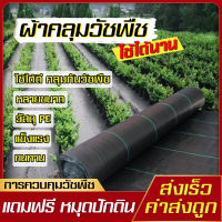 คลุมวัชพืช กำจัดหญ้า พลาสติกคลุมดิน พลาสติกคลุมวัชพืช ผ้าคลุมวัชพืช พลาสติกคลุมหญ้า ผ้าคลุมดิน ป้องกันวัชพืช ผ้าคลุมหญ้าตาย พลาสติกดำคลุม ผ้าคลุมหญ้า ผ้ายางคุมวัชพืช พลาสติกคลุมหญ้า คลุมวัชพืช คลุมหญ้า พสาสติกคลุมดิน ผ้าคลุมพืช ผ้ากันวัชพืช ผ้าการเกษตร