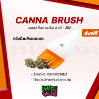 [ready stock][ส่งฟรี] Canna Brush แปรงทริมดอก นำเข้า USA แท้ 100% แปรงทริม รักษาไตรโคมมีบริการเก็บเงินปลายทาง