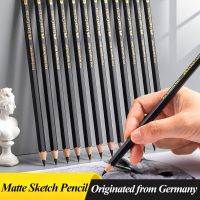 ดินสอแกรไฟต์ศิลปะด้านดินสอวาดรูป Fabber-Castell สำหรับการวาดภาพการเขียนการแรเงาอุปกรณ์ดินสอออกแบบตะกั่วสีดำ