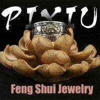 OKDEALS Buddhist Amulet Gold/Silver Protection Wealth Lucky Rings Adjustable Pixiu Feng Shui Jewelry