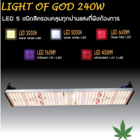 โคมไฟปลูกต้นไม้ 240W Light of god เสริมด้วย LED IR และ UV สำหรับไม้ด่างเร่งสีเร่งโต มีแสงครบทุกย่านที่พืชต้องการ