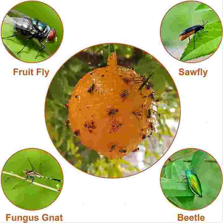 Hanging Fly Trap Ball Fruit Fly Catcher Pest Insect Repeller