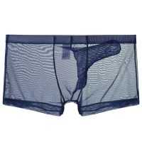 【hot】№❅ Men Transparent Trunks Ultra-Thin See Through Briefs Mesh Elephant NosePanties Breathable Homme