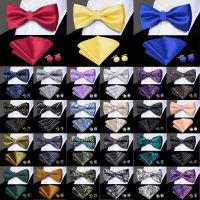 Hi-Tie Brand Silk Pre-tied Mens Bow Tie Hanky Cufflinks Set Bowtie for Male Jacquard Solid Paisley Floral Wedding Business Gift Nails Screws Fastener