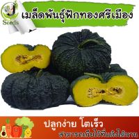 เมล็ดพันธุ์ ฟักทองศรีเมือง( Pumpkin Srimuang) 20 เมล็ด ปลูกง่าย ปลูกได้ทั่วไทย #เมล็ดผัก