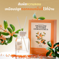 INSOULWAY ก้านไม้หอมปรับอากาศ รุ่นลิมิเต็ด กลิ่นดอกหอมหมื่นลี้ 180 ml