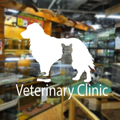 Veterinary Clinic Window Sticker Vinyl Interior Decoration Wallpaper Removable Pet Decor Glass Decal Self Adhesive Mural 3W27