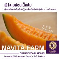 Orange Pearl Melon - เพิร์ลเมล่อนเนื้อส้ม