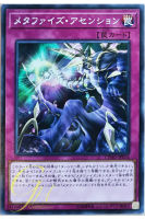 [CYHO-JP076] Metaphys Ascension (Common)