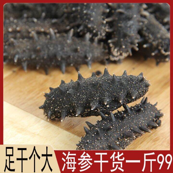 Wild light dried sea cucumber one catty 500g dry goods sea cucumber bald ginseng Dalian Liao