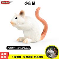 ? ของขวัญ Childrens cognitive simulation model mice solid wildlife mouse small hamster toy scene furnishing articles