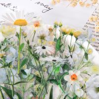 【CW】✤  Flowers Sticker pack 40pcs Transparent daisy hand account Decoration Scrapbooking