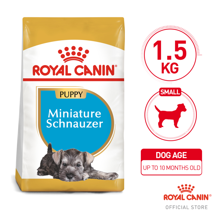 Royal Canin Miniature Schnauzer Junior Puppy 1.5kg Breed Health