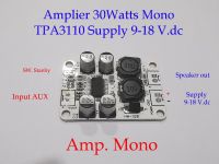 บอร์ดขยายเสียงMono  30W. Supply 9-18 V.DC(3Amp). Chip TPA3110   Amplifier board Mono  Digital Audio Power Amplifier Module