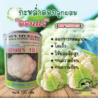 ⭐️กะหล่ำดอกดอนแร่ 151 ขนาด 100g