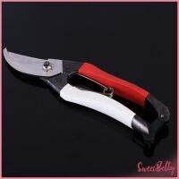 Sweet Belly   กรรไกรตัดกิ่งไม้ กรรไกรตัดดอก อุปกรณ์ทำสวน Pruning shears มีสินค้าพร้อมส่ง