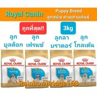 Royal Canin Breed French Bulldog Bulldog Golden Labrador Puppy 3kg โรยัลคานิน ลูกสุนัข เฟรนช์ บุลด็อก โกลเด้น ลาบราดอร์ ถุงขนาด 3 กิโลกรัม