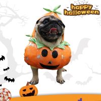 Dog Clothes Halloween Funny Pet Pumpkin Costume Pet Cosplay Special Events Apparel Outfit Dog Cute Costumes Clothing