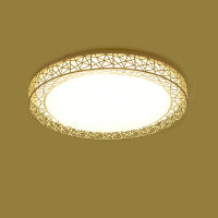 LED Ceiling Light Bird Nest Round Lamp Modern Fixtures For Living Room Bedroom Kitchen NIN668