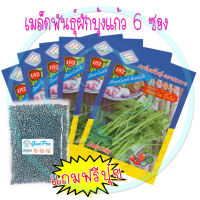 เมล็ดพันธุ์ ผักบุ้งแก้ว 6 ซอง แถมปุ๋ยฟรี