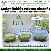 ☁ชุดปลูกไม้น้ำ DIY พร้อมขวดโหลแก้ว มีให้เลือก 3 ไซต์ มีของพร้อมส่ง✧