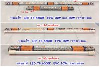 หลอดไฟ  LED  T8 6500K  EVO 10W และ 20W เฉพาะหลอด