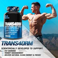 EVL Trans4orm (120เม็ด/60Serving) แฟตเบิร์น ใหม่ล่าสุด