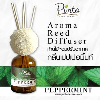 Pinto Natural Aromatic Reed Diffuser ก้านไม้หอมปรับอากาศ กลิ่นเปปเปอร์มิ้นท์ Peppermint ขนาด 50ml. และ 100ml.