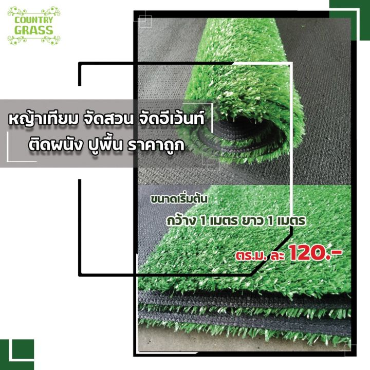 โปรพิเศษ-หญ้าเทียม-1-cm-จำหน่ายหญ้าเทียม-ตกแต่งบ้าน-หญ้าเทียมถูก-ขนาด-2x5-เมตร-สำหรับตกแต่งสวน-หญ้าเทียมปูพื้น-หญ้าติดผนัง-ราคาถูก-หญ้า-หญ้าเทียม-หญ้าเทียมปูพื้น-หญ้ารูซี-หญ้าแต่งสวน-แต่งพื้น-cafe-แต่