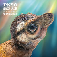 PNSO เด็กและเยาวชน Tyrannosaurus Rex Aaron Dinosaur King วันไดโนเสาร์เติบโตโมเดลร่างกาย26