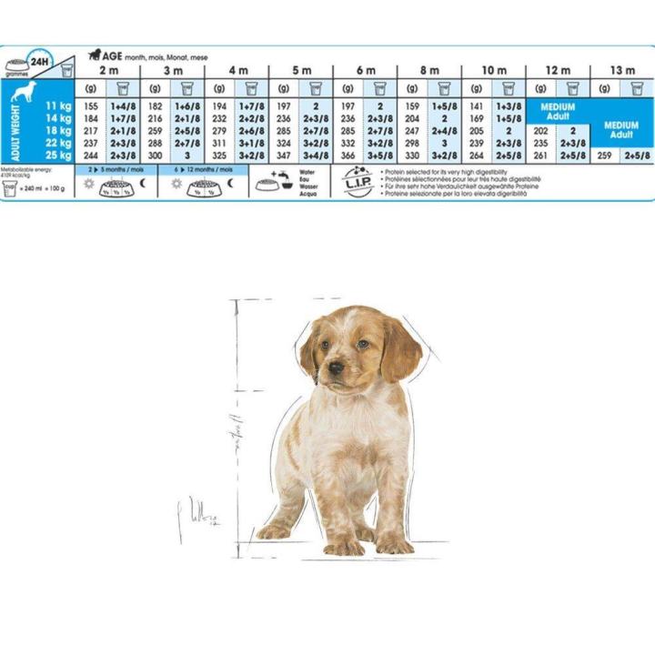 royal-canin-medium-puppy-dog-food-อาหารลูกสุนัข-สำหรับสุนัขขนาดกลาง-ลูกสุนัขอายุ-2-12-เดือน-ขนาด-10-กก