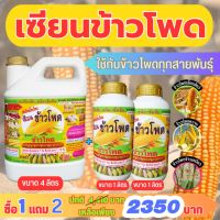 [พร้อมส่ง] เซียนข้าวโพด ซื้อ1แถม2 ฮอร์โมนข้าวโพด ปุ๋ยฉีดข้าวโพด ปุ๋ยทางใบ ฮอร์โมนพืช อาหารพืช ยาฉีดข้าวโพด เร่งฝัก