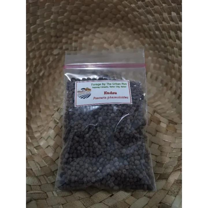 Kudzu seeds as forage for goats and cattles Lazada PH