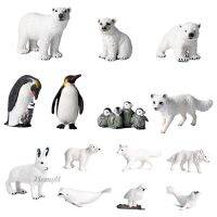 [HOMYL1] Arctic Animal Model Polar Bear Decor Learning Penguins for Children Toddlers 【AUG】