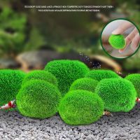 hot【cw】 6PCS Marimo Moss Balls Aquarium Shrimp Ornament Artificial