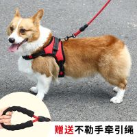 [Fast delivery] Dog Leash Vest Style Walking Leash Corgi Fighting Shiba Small and Medium Teddy Harness Safe and anti breakaway measures