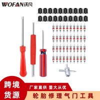 [COD] Cross-border hot 40 pieces of valve core removal and installation kit tool cap