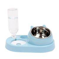 Cat Bowl Drinker 16 องศาเอียง Safeguard คอสแตนเลส Pet Feeder Cats Food Dispenser Cat Waterer สุนัขชามน้ำ