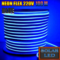 LED Neon Flex LED ไฟเส้น ประดับตกแต่งแม้ในบ้าน หรือนอกบ้าน ไฟบ้าน ไฟรถ กันน้ำ ทนแดด ทนฝน (100 เมตร) คุ้มค่าที่สุดแถมปลั๊ก 5เส้น  white BLUE