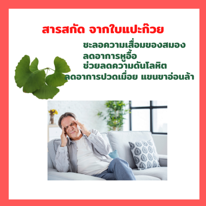 แปะก๊วย-ginkola-กิฟฟารีน-สารสกัดจากใบแปะก๊วย-จิงโกล่า-ชนิดแคปซูล-เสริมความจำ-น้ำในหูไม่เท่ากัน-อาการวิงเวียน